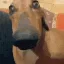 dog_stare