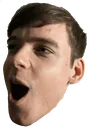stinkypog Discord Emoji