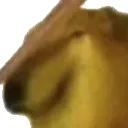 BONK