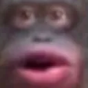 monke