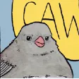 annoyedBird