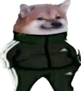 Slav