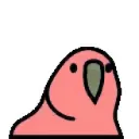 parrotdance