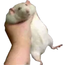hold_friend