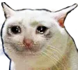 SadCat