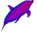 aesdolphin aesdolphin