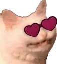 harteyescat Discord Emoji