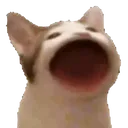 Popcat popcat Discord Emoji