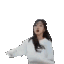 srz_dab_triggered