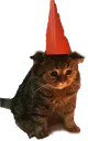 SCbirthday