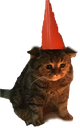 :SCbirthday: