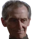TarkinSmirk