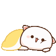 PeachCat_GM_LP