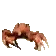 crabpls