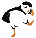 puffin puffin