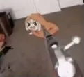 umarugun