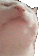 catJAM