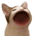 fastbop