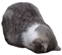 ABCded