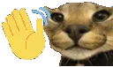 ABCfloppawave