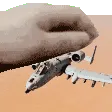 warthogpet