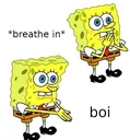 boi