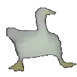 CB_duckwalk