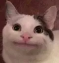 WTF_3