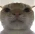 say_it_again_i_dare_you say_it_again_i_dare_you