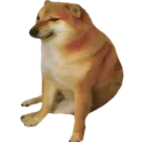 dogecheem