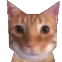 Ps2cate