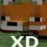 XD_2