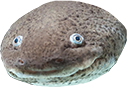 derp Discord emoji