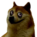 doge_Insane doge_Insane