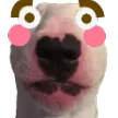walterblush