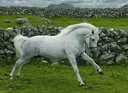 connemara