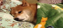 emoji_46 Discord emoji