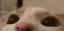 emoji_66