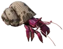 hermitcrab