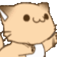 excited_cat