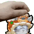 tigerpet tigerpet