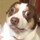 D7_MrBubs Discord emoji