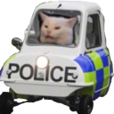 AGC_CatFunPolice Discord emoji
