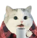 kotcoffee