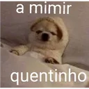 f_amimir