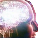 brain3 brain3
