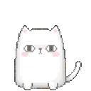 kittyscratch