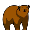bear