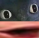 starepog Discord emoji