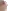 catmicrovibe
